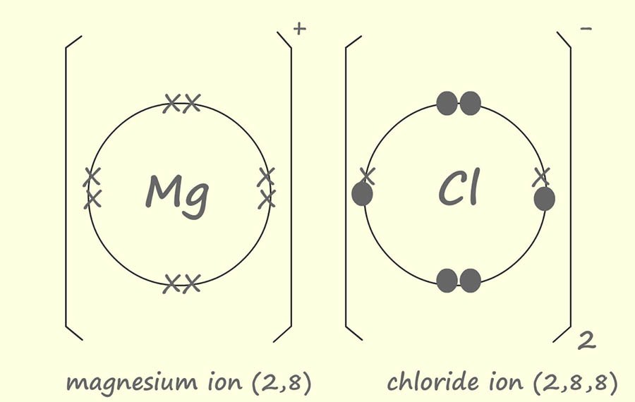 dot and cross diagram for magnesium chloride